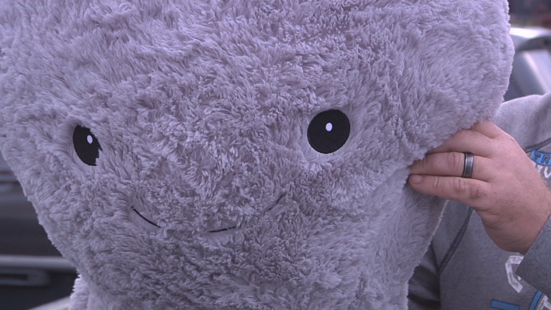 One customer purchased a stuffed animal octopus during his Thanksgiving shopping experience